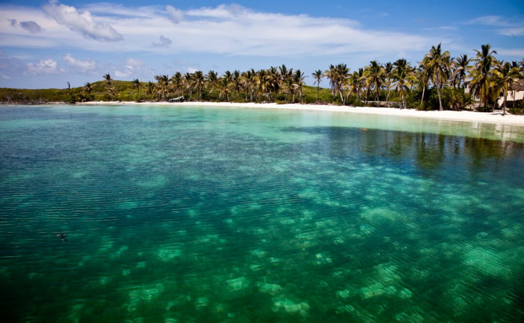 Es posible nadar y esnorquelear en estas aguas de color turquesa