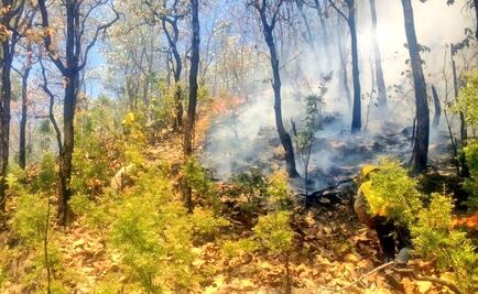 Reportan incendio en paraje San José de la Montaña en Zapopan