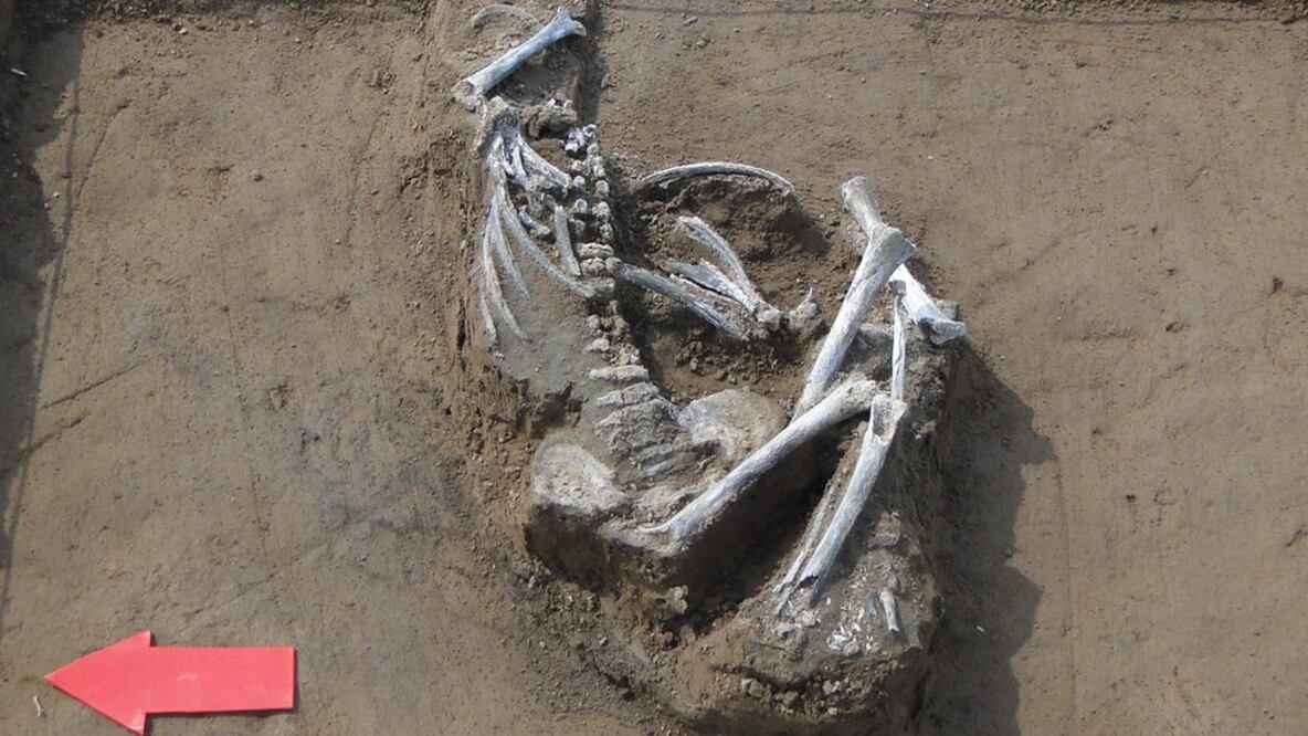 Foto: Gustavo Politis vía BBC