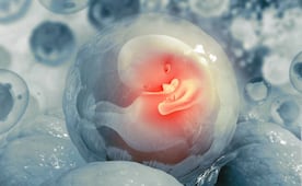 Nace bebé de un embrión congelado hace 22 años en Grecia; familia pide eliminar límite de edad para fecundación in vitro