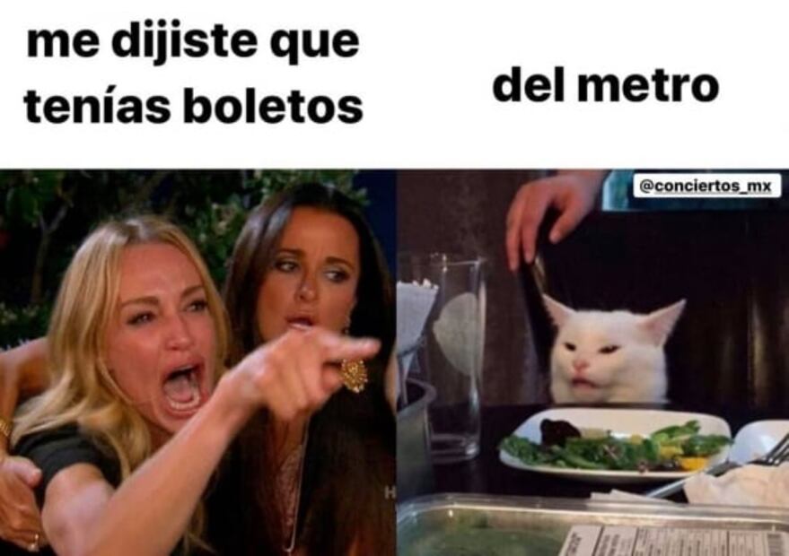 Los mejores memes del gato