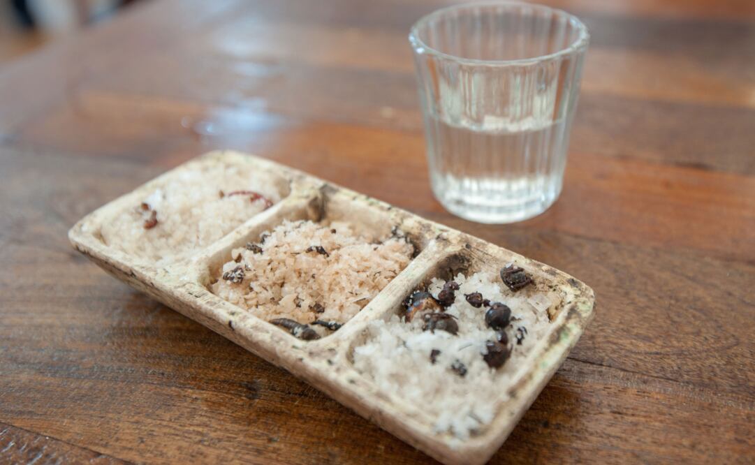 La Bipo, una de las cantinas de Coyoacán que la ruta visita, hay una amplia carta de mezcal. (Foto: iStock)