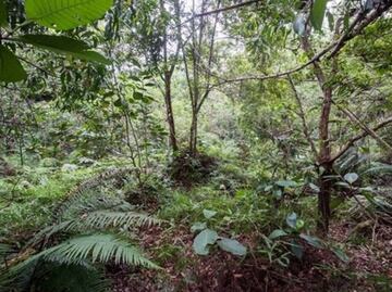 Reto Visual: Encuentra a los 12 soldados en la imagen