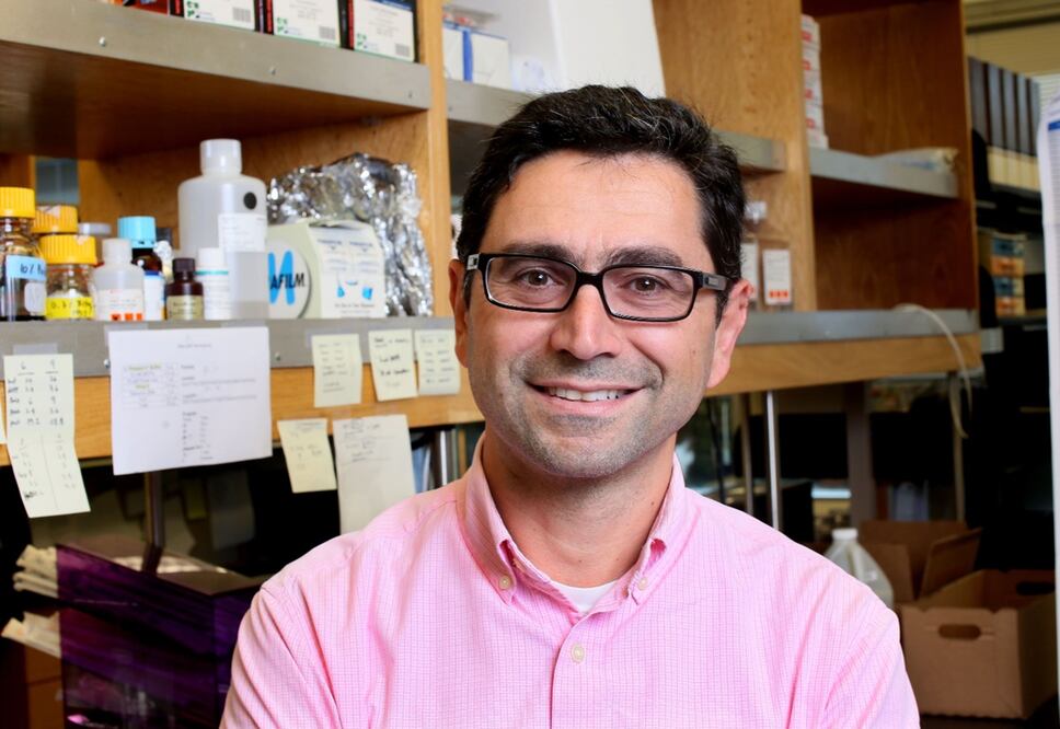 Ardem Patapoutian. Foto: EFE