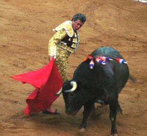 Fallece el torero mexicano Miguel Espinosa "Armillita"