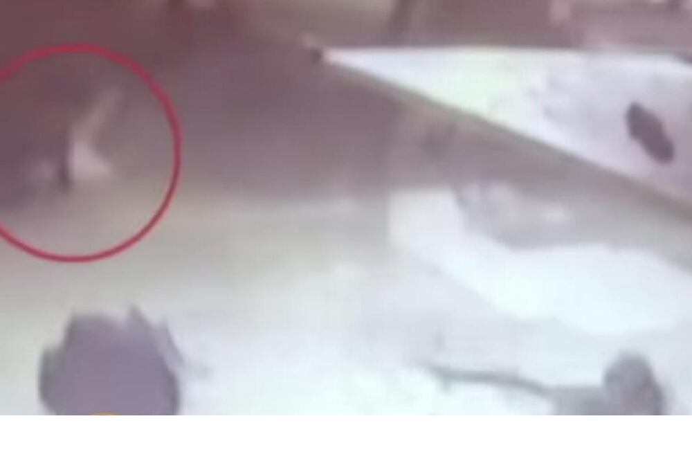 Momento en el que cae la joven. Foto: Tomada de video