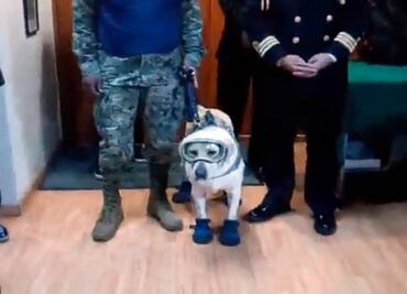 Frida, heroína del 19-S, dona sus botas al museo del calzado