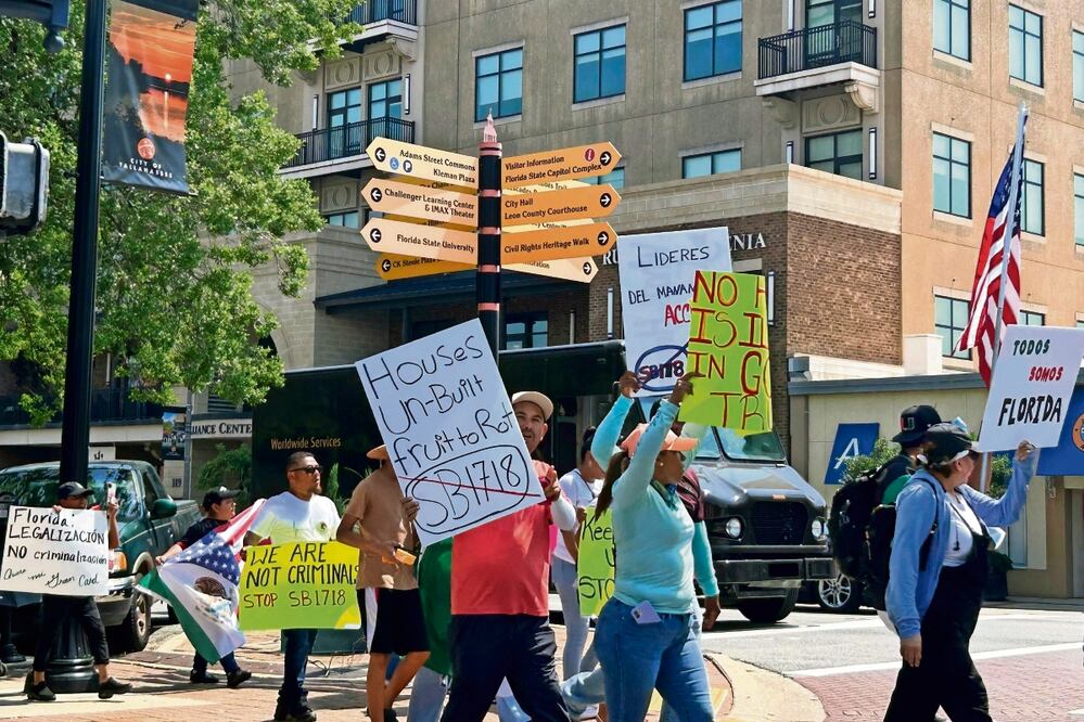 La ley vigente desde el 1 de julio especifica que las licencias de conducir de otros estados emitidas exclusivamente a extranjeros ilegales no son válidas en Florida.