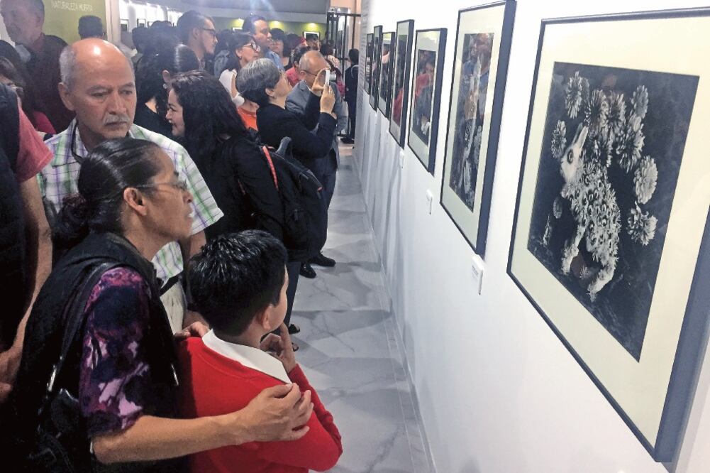 El Encuentro Nacional de Fototecas se realiza en Hidalgo, del 24 al 26 agosto. (DINORATH MOTA. EL UNIVERSAL)
