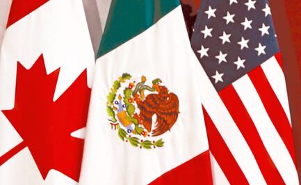 Comité del T-MEC evalúa avances en materia ambiental