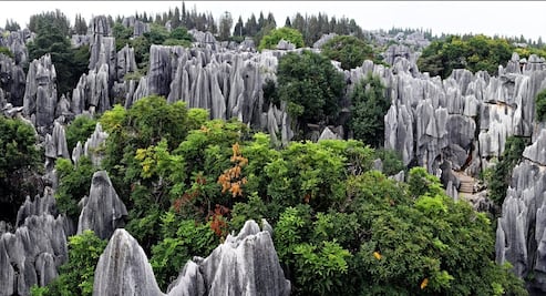 El fantástico Bosque de Piedra que querrás visitar alguna vez en la vida