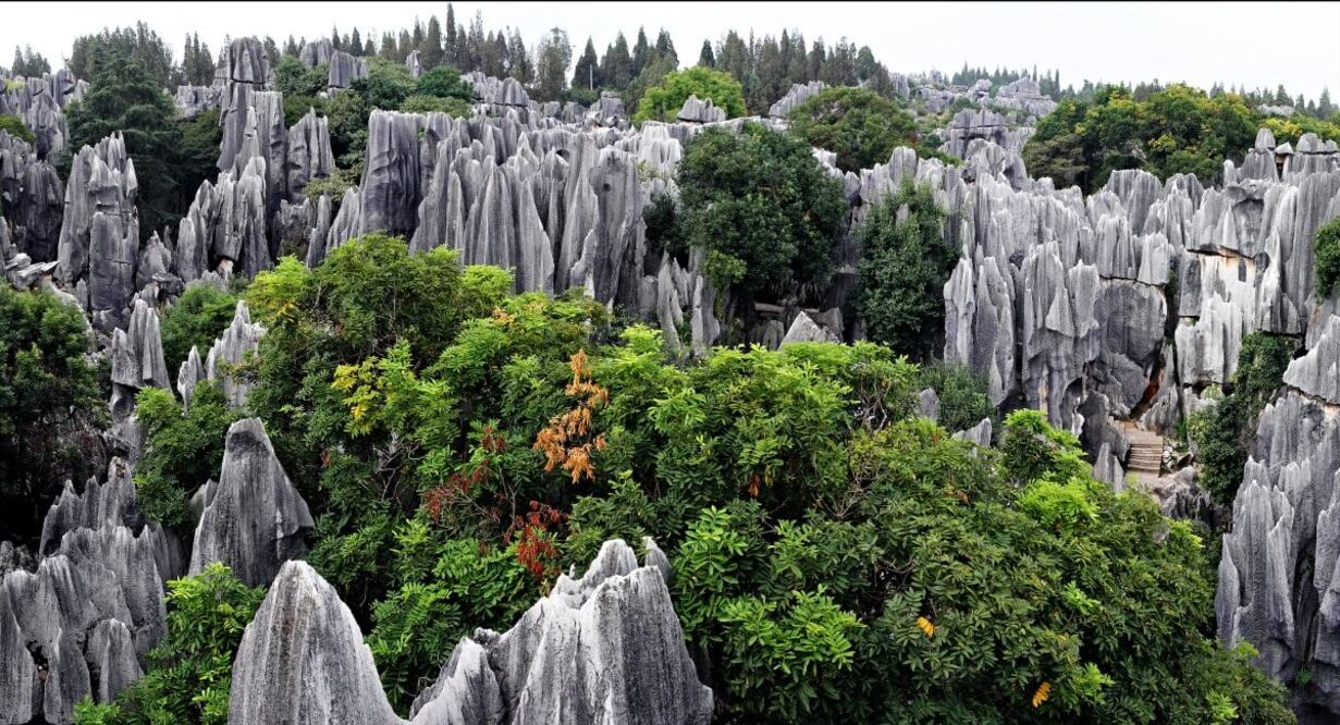 Columnas y torres afiladas que alcanzan entre 30 y 40 metros de altura. Foto: Istock