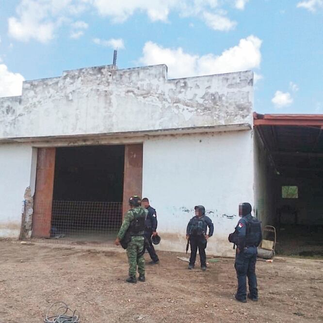 Agentes federales llegaron a un rancho ubicado a dos kilómetros de la carretera a San Fernando, cerca del ejido Paso Hondo. Foto/ESPECIAL