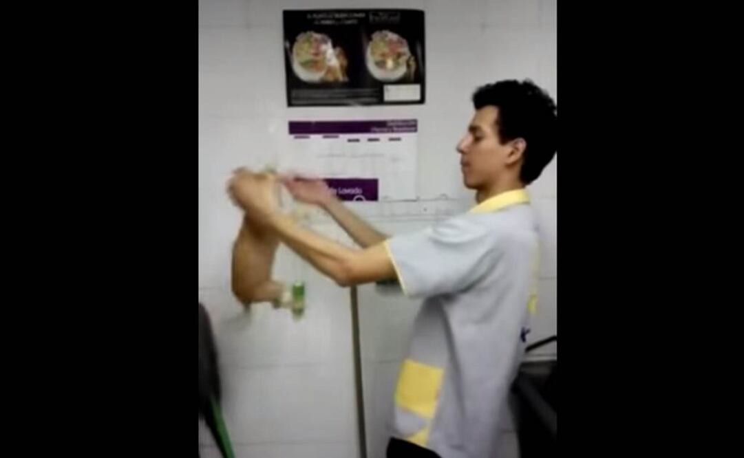 Captura de pantalla del video que se hizo viral en redes