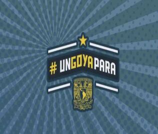 Incorporan a 13 académicos de la UNAM como investigadores eméritos