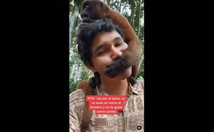 VIDEO. ¡Cuidado con los depredadores! Mono le tapa la boca a un joven que cantaba en la jungla
