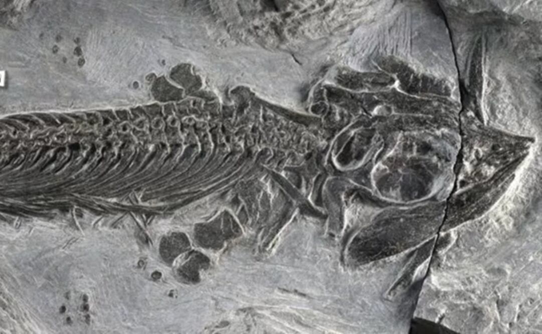 Imagen referencial. (FOTO: Especial)