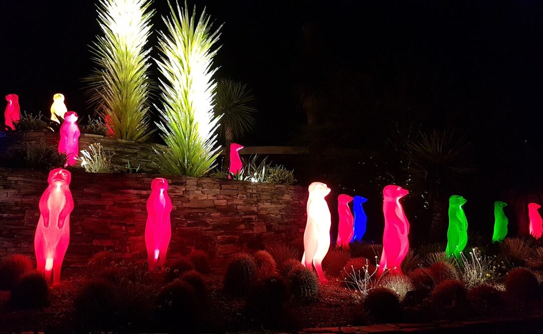 Las figuras iluminadas del Desert Botanical Garden son una de las grandes atracciones navideñas de Phoenix. Foto: Claudia Ramírez