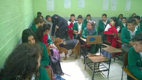 Participan perros policías en Operativo Mochila en Edomex