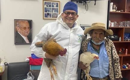 Con dos gallinas, hombre paga a médico operación de próstata en Bolivia