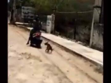 Detienen a motociclista que arrastró del cuello a un perro en Ticul, Yucatán