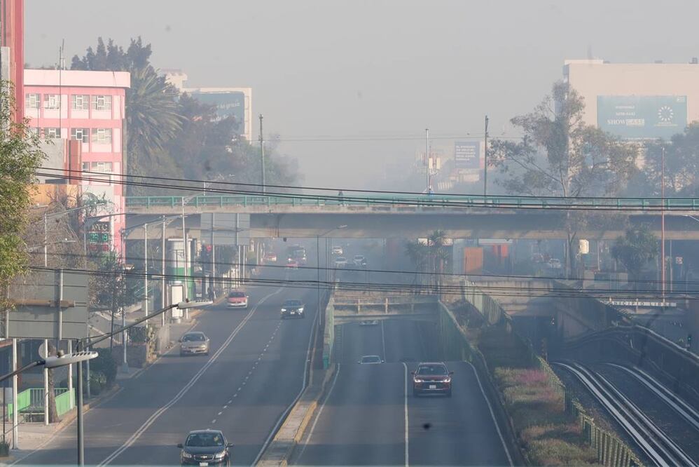 Foto: Berenice Fregoso