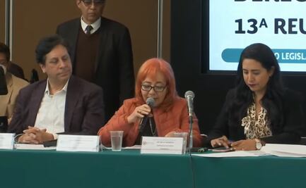 Comparece Rosario Piedra Ibarra, titular de CNDH, ante diputados; acusa mentiras contra su trabajo