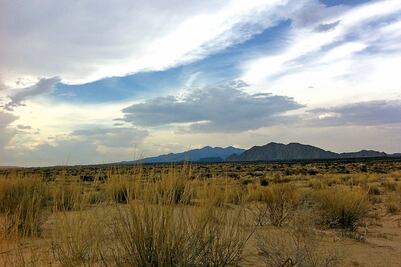 Coccidioidomicosis: infección de zonas desérticas de Norteamérica