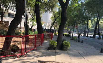 Retiran puestos de inmediaciones del Senado; vendían productos relacionados con la marihuana