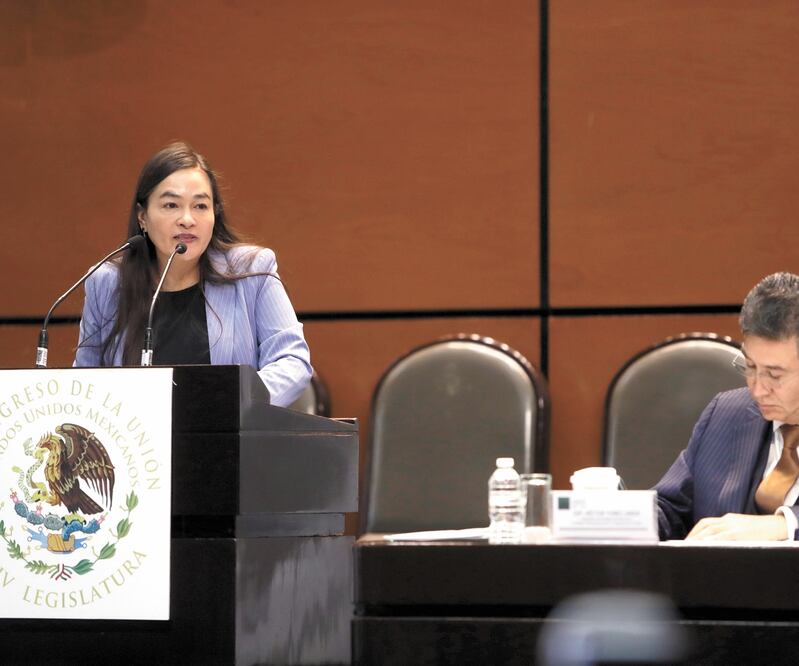 Verónica Juárez Piña destacó que el PRD propuso una reforma para salvaguardar los derechos de los niños y adolescentes migrantes. ARCHIVO EL UNIVERSAL