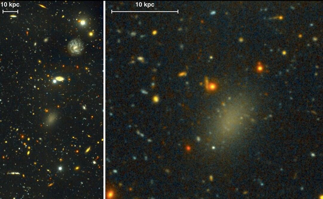 La galaxia, denominada Dragonfly 44, pasó desapercibida para los científicos durante décadas porque es muy tenue. (FOTO: Science)