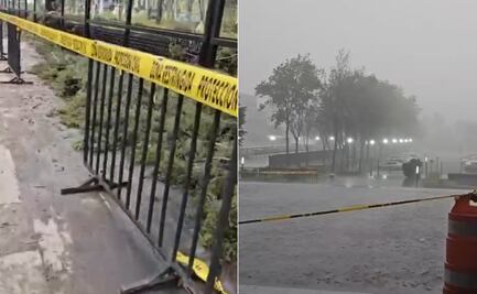 VIDEO: Fuerte lluvia derriba 5 árboles en la Cámara de Diputados
