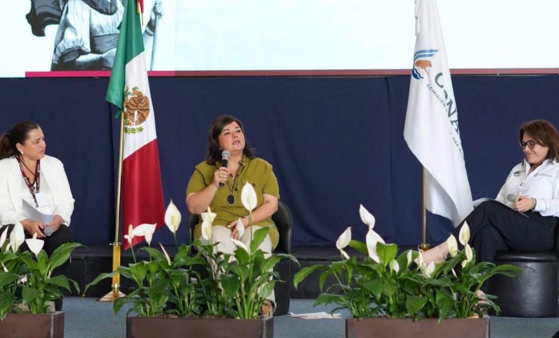 Legisladora de Morena, Meggi Salgado, propone instalar sistemas de captación de agua pluvial en viviendas y edificios públicos (14/02/2025). Foto: Especial