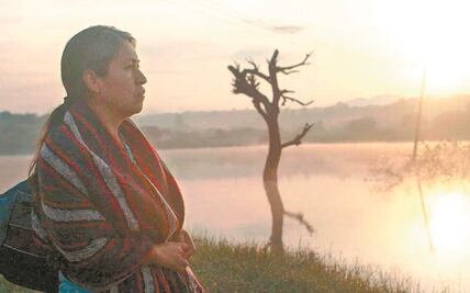 Ganadores de los Premios Ariel 2021. "Sin señas particulares" se lleva 9 galardones