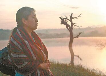 Ganadores de los Premios Ariel 2021. "Sin señas particulares" se lleva 9 galardones