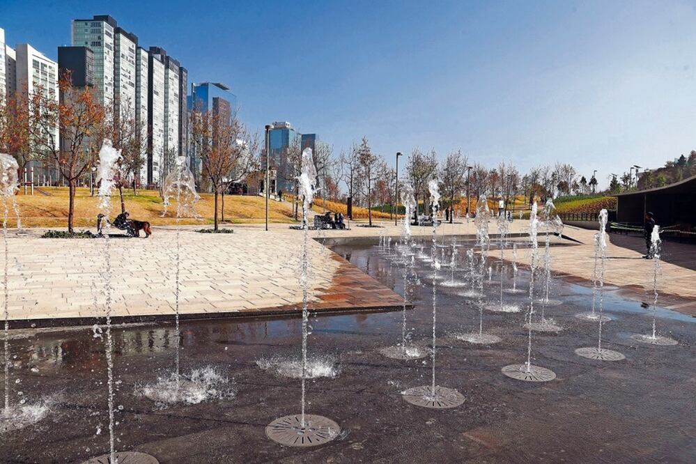 Parques en la CDMX que puedes visitar el 16 de septiembre / Foto: Archivo El Universal