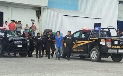 Se registra nuevo envenenamiento masivo de perros en Yucatán; ahora, en la Central de Abastos de Mérida