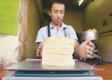 Tortilla, sube de precio y es la comida más desperdiciada
