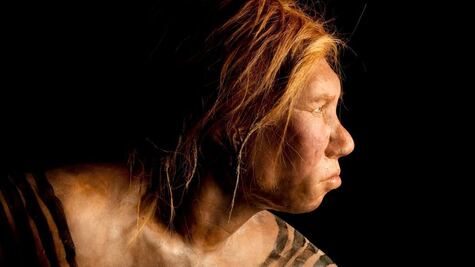¿Neandertales, más cultos y sofisticados de lo que se piensa?