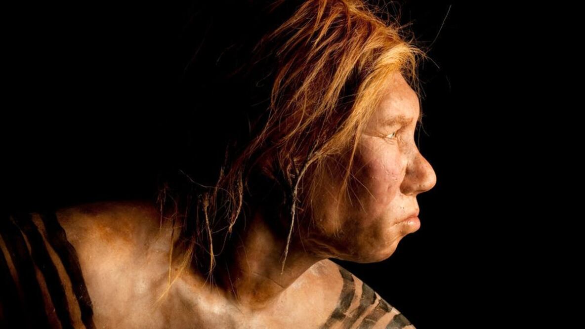 ¿Fueron los neandertales más cultos y sofisticados de lo que se piensa?