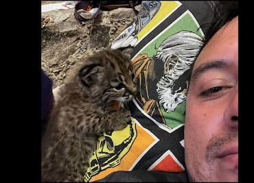 Alcalde de San Luis Potosí presume cachorro de lince como mascota