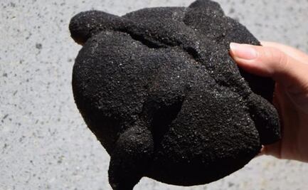 Pan de muerto negro, una delicia que no puedes dejar de probar