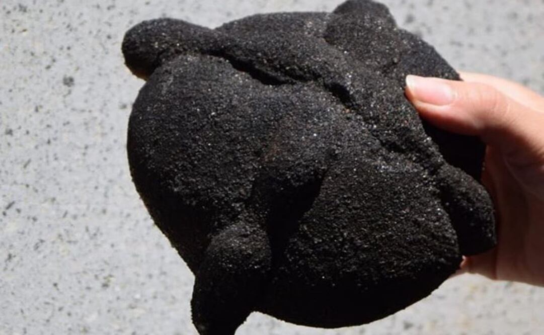 Foto: Xolo Café Facebook