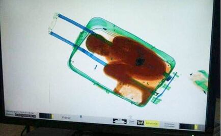 España autoriza a niño que viajó en maleta vivir en el país