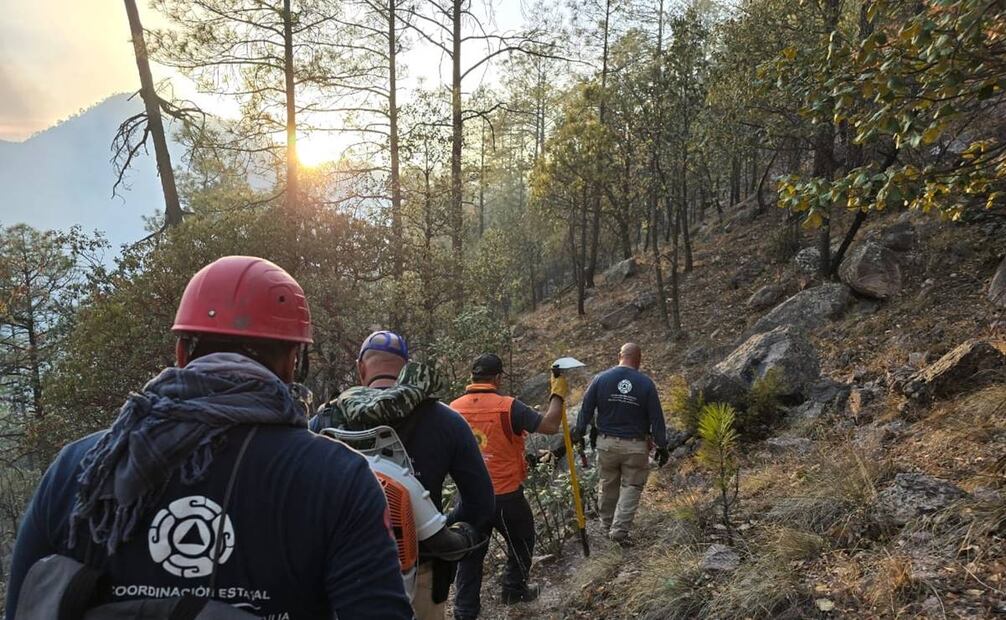 Esta temporada de incendios forestales, se registra una superficie afectada de 16 mil 643 hectáreas. Foto: especial