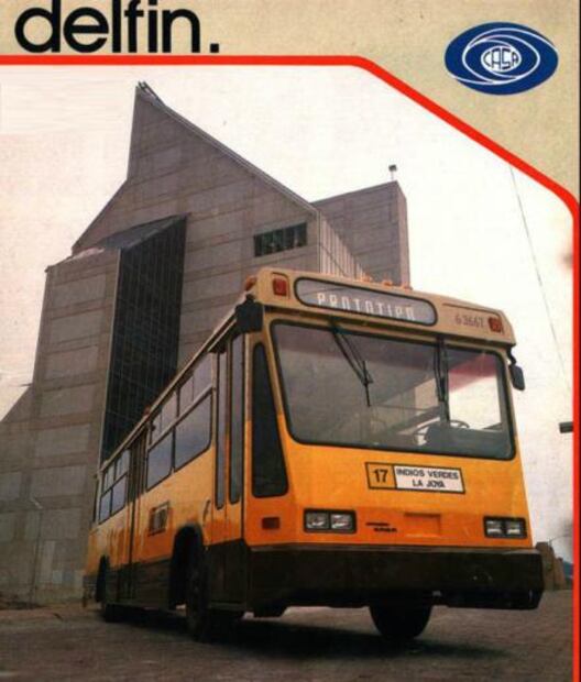 Delfines de un zoológico de asfalto 