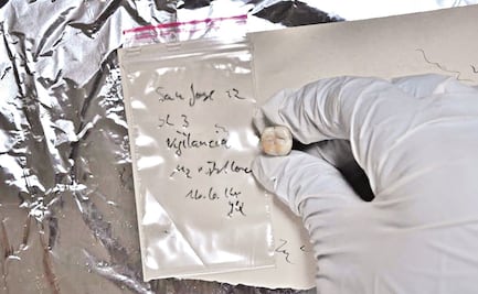 La historia de la hepatitis jamás contada ahora es revelada, un virus con unos 20 mil años de existencia