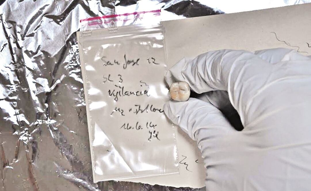 El estudio analizó restos de 137 cuerpos, dos de ellos, de indígenas que habitaron el actual territorio mexicano y que fueron hallados en 1992, en el Hospital Real de San José de los Naturales, fundado entre 1529 y 1531. Fotos: Cortesía Rodrigo Barquera