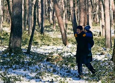 Crítica de "El mal no existe" del director de culto Ryusuke Hamaguchi