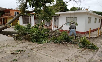 Fuertes vientos dejan afectaciones en 37 municipios de Veracruz
